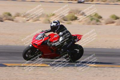 media/Dec-10-2023-SoCal Trackdays (Sun) [[0ce70f5433]]/Turn 9 Inside Set 2 (1115am)/